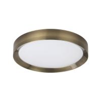 Потолочный светодиодный светильник Odeon Light Walli Lunor 4948/45CL