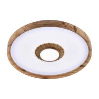 Потолочный светодиодный светильник Profit Light 2090/450 WH+WD RGB