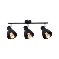 Спот Paulmann Davy 66761