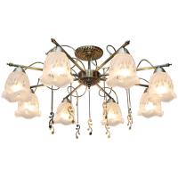 Потолочная люстра Toplight Delia TL1195X-08AB