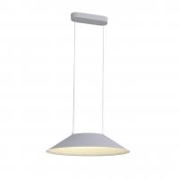 Подвесной светодиодный светильник ST Luce Pitto SL427.513.01