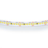 Светодиодная лента Lightstar 24W/m 240LED/m дневной белый 5M 421024