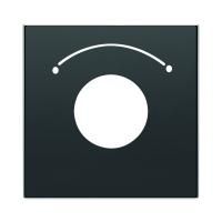 Накладка для механизма выключателя с ключом на 2 положения, серия SKY, цвет чёрный барх.