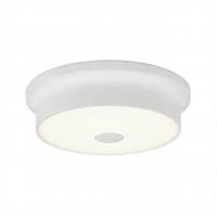 Потолочный светодиодный светильник Citilux Фостер-2 CL706210