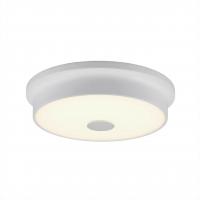 Потолочный светодиодный светильник Citilux Фостер-2 CL706220