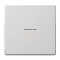 Клавиша одинарная перекидная Jung LS990KO5LG