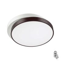 Потолочный светодиодный светильник Lumion Agatha 4509/72CL
