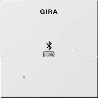 Лицевая панель Apple Lightning Gira System 55 для вставки док-станции чисто-белый глянцевый 228703 Лицевая панель Apple Lightning Gira System 55 для вставки док-станции чисто-белый глянцевый 228703