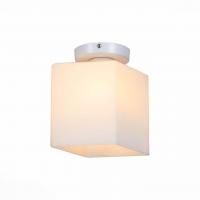 Настенно-потолочный светильник ST Luce Aspetto SL548.501.01
