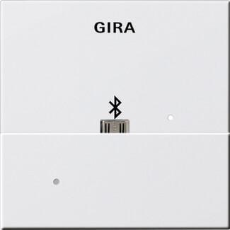 Лицевая панель USB Mikro-B Gira System 55 для вставки док-станции чисто-белый шелковисто-матовый 228503 Лицевая панель USB Mikro-B Gira System 55 для вставки док-станции чисто-белый шелковисто-матовый 228503