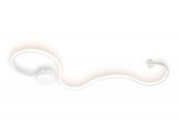 Настенный светодиодный светильник Ambrella light Metallic FL417