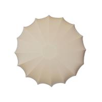 Потолочный светильник TopDecor Muse AP4 10 09s