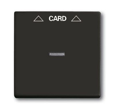 Накладка для механизма карточного выключателя 2025 U, Basic 55, ch?teau-black Накладка для механизма карточного выключателя 2025 U, Basic 55, ch?teau-black