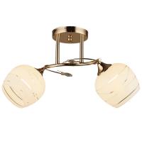 Потолочная люстра Wedo Light Вайона 66020.01.01.02