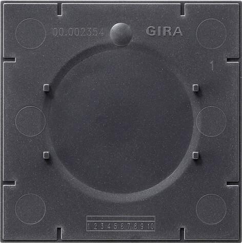 Пластина монтажная Gira E2 для таблички 108100 Пластина монтажная Gira E2 для таблички 108100