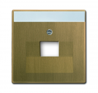 Накладка для 1-постовой розетки 0213, 0218/11, 0220, 0221 поле для надписи, Династия, античная латунь