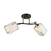 Потолочная люстра Wedo Light Sayn 66141.01.69.02