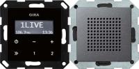 Радиоприемник RDS Gira System 55 с громкоговорителем антрацит 228028