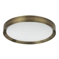 Потолочный светодиодный светильник Odeon Light Walli Lunor 4948/60CL