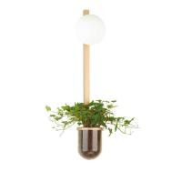 Настенный светильник Odeon Light Flower 4682/1WB