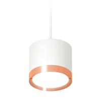 Комплект подвесного светильника Ambrella light Techno Spot XP (A2331, C8110, N8126) XP8110012