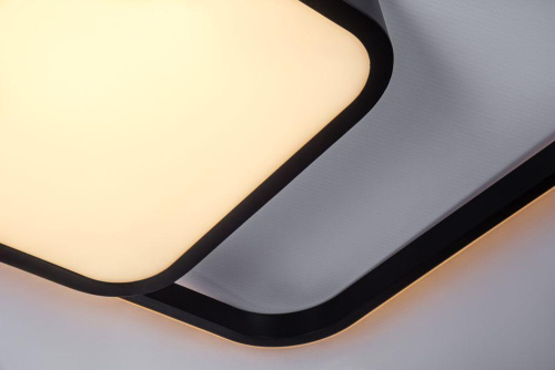 Потолочный светодиодный светильник Escada 10210/2LED Потолочный светодиодный светильник Escada 10210/2LED
