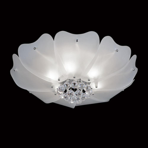 Потолочный светильник Lightstar Lobo 804020 Потолочный светильник Lightstar Lobo 804020