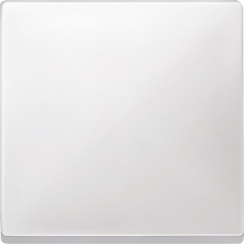 Клавиша одинарная Schneider Electric Merten Antique/Artec MTN412119 Клавиша одинарная Schneider Electric Merten Antique/Artec MTN412119