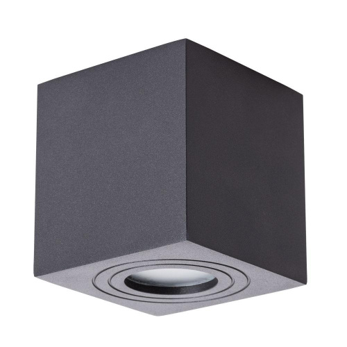 Потолочный светильник Arte Lamp Galopin A1461PL-1BK Потолочный светильник Arte Lamp Galopin A1461PL-1BK