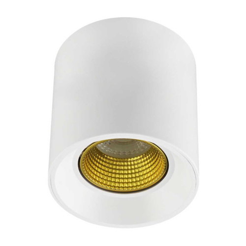 Потолочный светильник Denkirs DK3020WYE DK3090-WH+YE Потолочный светильник Denkirs DK3020WYE DK3090-WH+YE