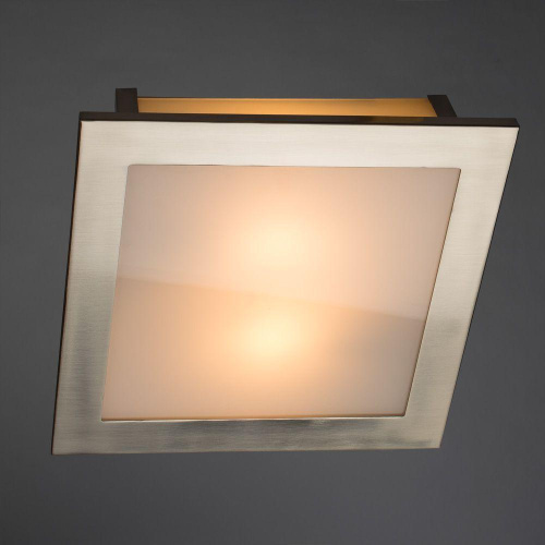 Потолочный светильник Arte Lamp Spruzzi A6064PL-2SS Потолочный светильник Arte Lamp Spruzzi A6064PL-2SS