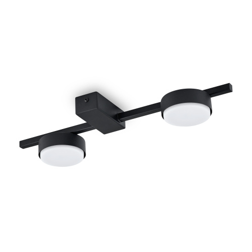 Потолочный светильник Freya FR5363CL-02B Потолочный светильник Freya FR5363CL-02B