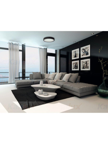 Потолочный светильник Kanlux Jasmin 370-B 29208 Потолочный светильник Kanlux Jasmin 370-B 29208