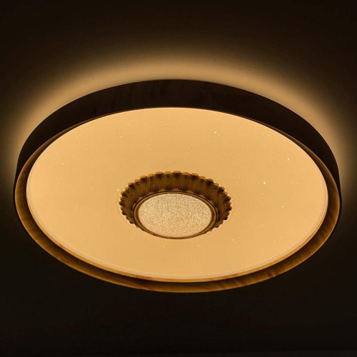 Потолочный светодиодный светильник Profit Light 2090/450 WH+WD RGB Потолочный светодиодный светильник Profit Light 2090/450 WH+WD RGB