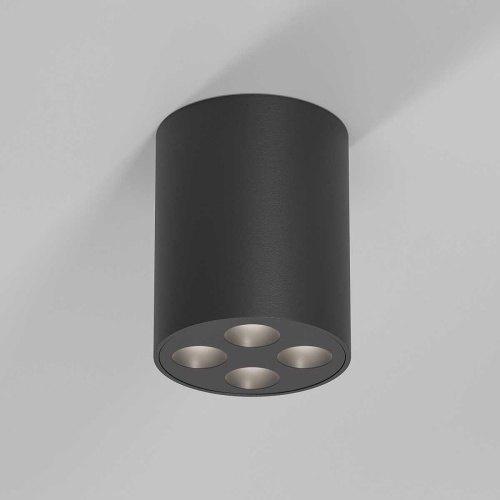 Потолочный светильник Elektrostandard 25111/LED a067485 Потолочный светильник Elektrostandard 25111/LED a067485