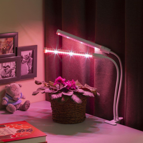 Настольная лампа ЭРА Crocus Fito-20W-Aled Б0039171 Настольная лампа ЭРА Crocus Fito-20W-Aled Б0039171