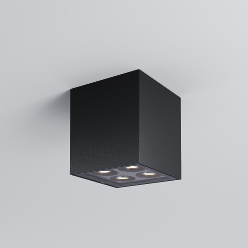 Потолочный светильник Outdoor O309CL-L8GF3K Потолочный светильник Outdoor O309CL-L8GF3K