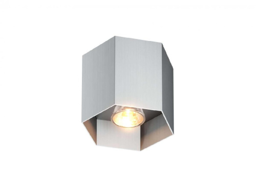 Потолочный светильник Zumaline Polygon cl 1l 20035-Al Потолочный светильник Zumaline Polygon cl 1l 20035-Al