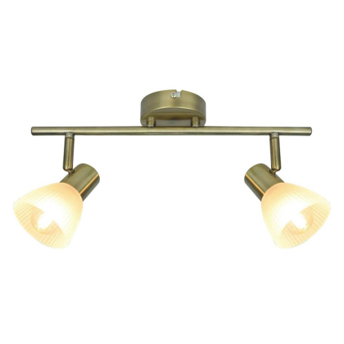 Спот Arte Lamp Parry A5062AP-2SS Спот Arte Lamp Parry A5062AP-2SS
