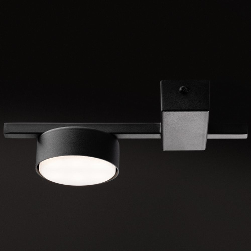 Потолочный светильник Freya FR5363CL-01B Потолочный светильник Freya FR5363CL-01B