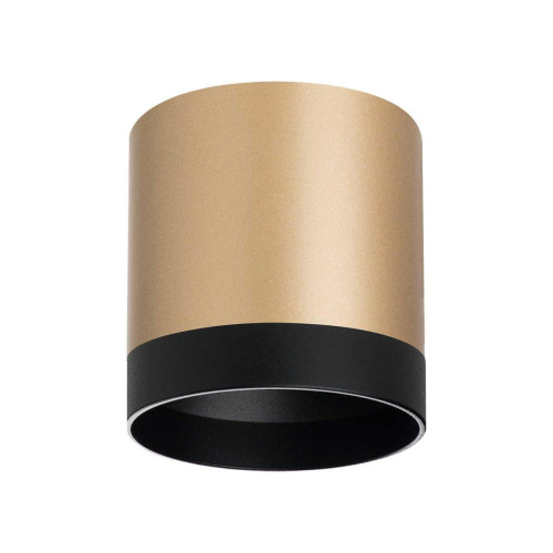 Потолочный светильник Lightstar Rullo (213490+203487) R34903487 Потолочный светильник Lightstar Rullo (213490+203487) R34903487