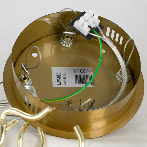 Подвесная люстра Lussole Adams LSP-8606 Подвесная люстра Lussole Adams LSP-8606