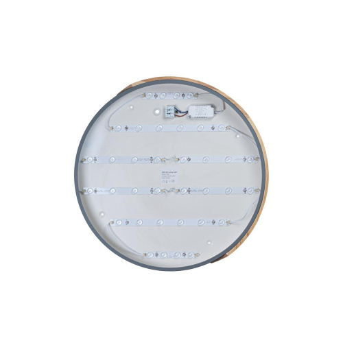 Потолочный светодиодный светильник Loft IT Axel 10004/36 grey Потолочный светодиодный светильник Loft IT Axel 10004/36 grey