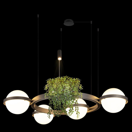 Подвесной светодиодный светильник Loft IT Jardin 10121/4 Dark grey Подвесной светодиодный светильник Loft IT Jardin 10121/4 Dark grey