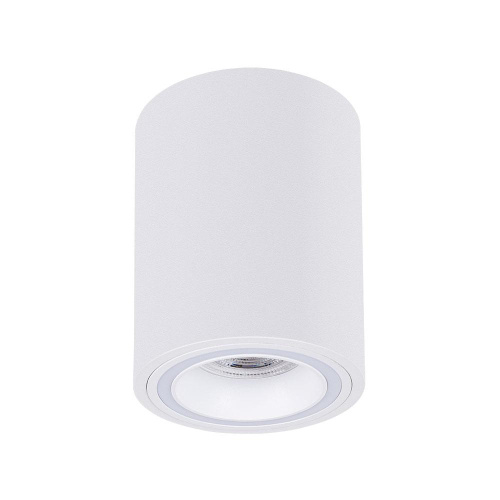 Точечный накладной светильник Arte Lamp IMAI A2267PL-1WH Точечный накладной светильник Arte Lamp IMAI A2267PL-1WH