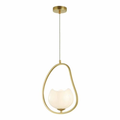 Подвесной светильник Odeon Light Modern Waterlily 4873/1 Подвесной светильник Odeon Light Modern Waterlily 4873/1