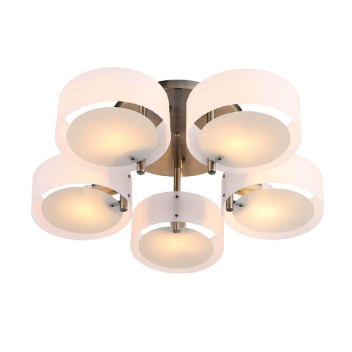 Потолочная люстра Evoluce Foresta SL483.352.05 Потолочная люстра Evoluce Foresta SL483.352.05