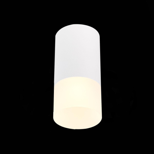Потолочный светильник ST Luce ST100.512.01 Потолочный светильник ST Luce ST100.512.01
