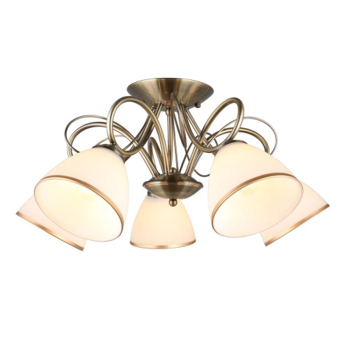 Потолочная люстра Omnilux Alimini OML-25307-05 Потолочная люстра Omnilux Alimini OML-25307-05