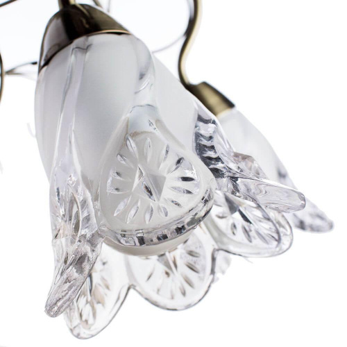 Подвесная люстра Arte Lamp 2 A6273LM-8AB Подвесная люстра Arte Lamp 2 A6273LM-8AB